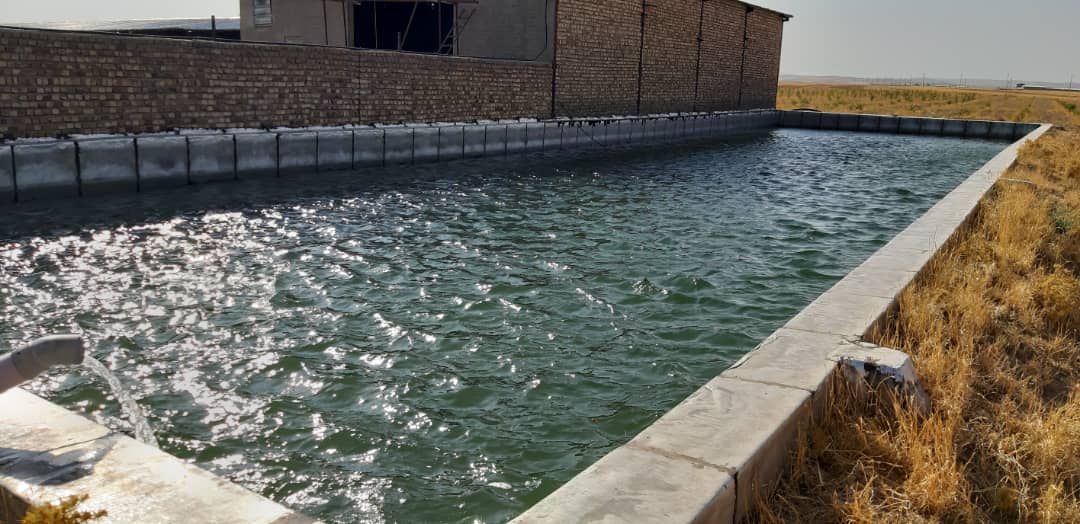 دامداری صنعتی