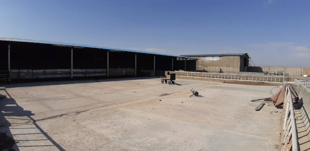 دامداری صنعتی