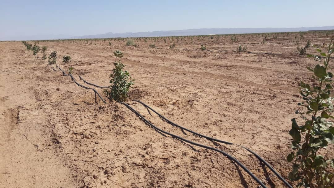Agricultural land prices in Iran