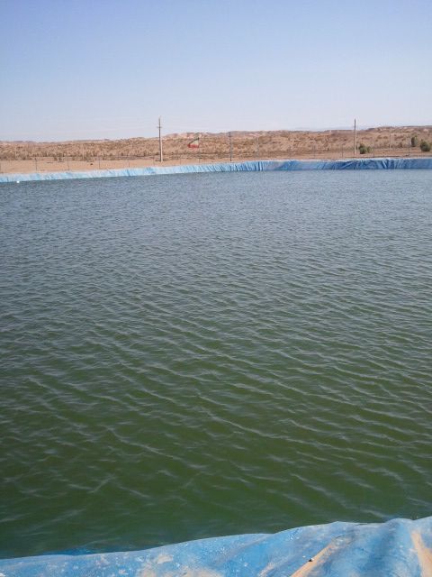 Agricultural land prices in Iran
