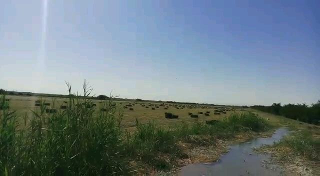 Agricultural land prices in Iran