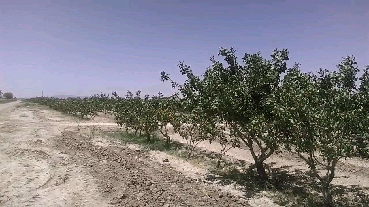 Agricultural land prices in Iran