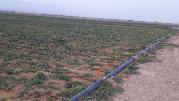 Agricultural land prices in iran 