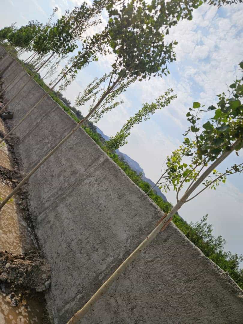 باغ میوه ملارد